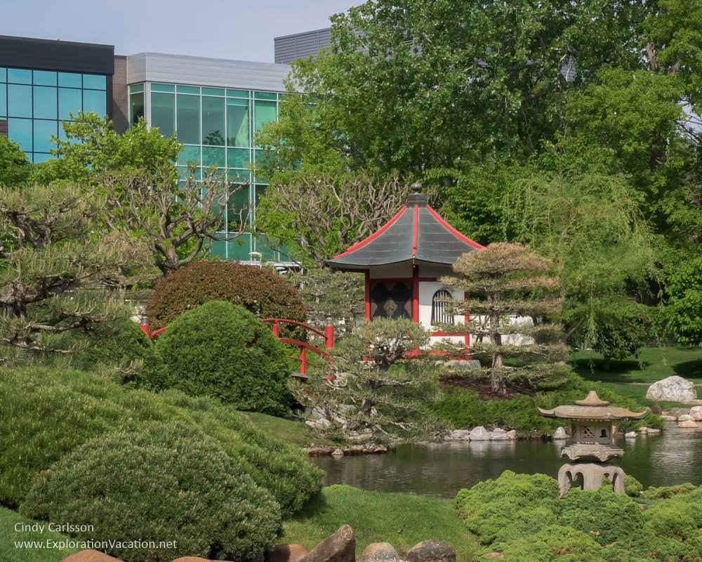normandale japanese garden: a serene oasis in minneapolis, minnesota