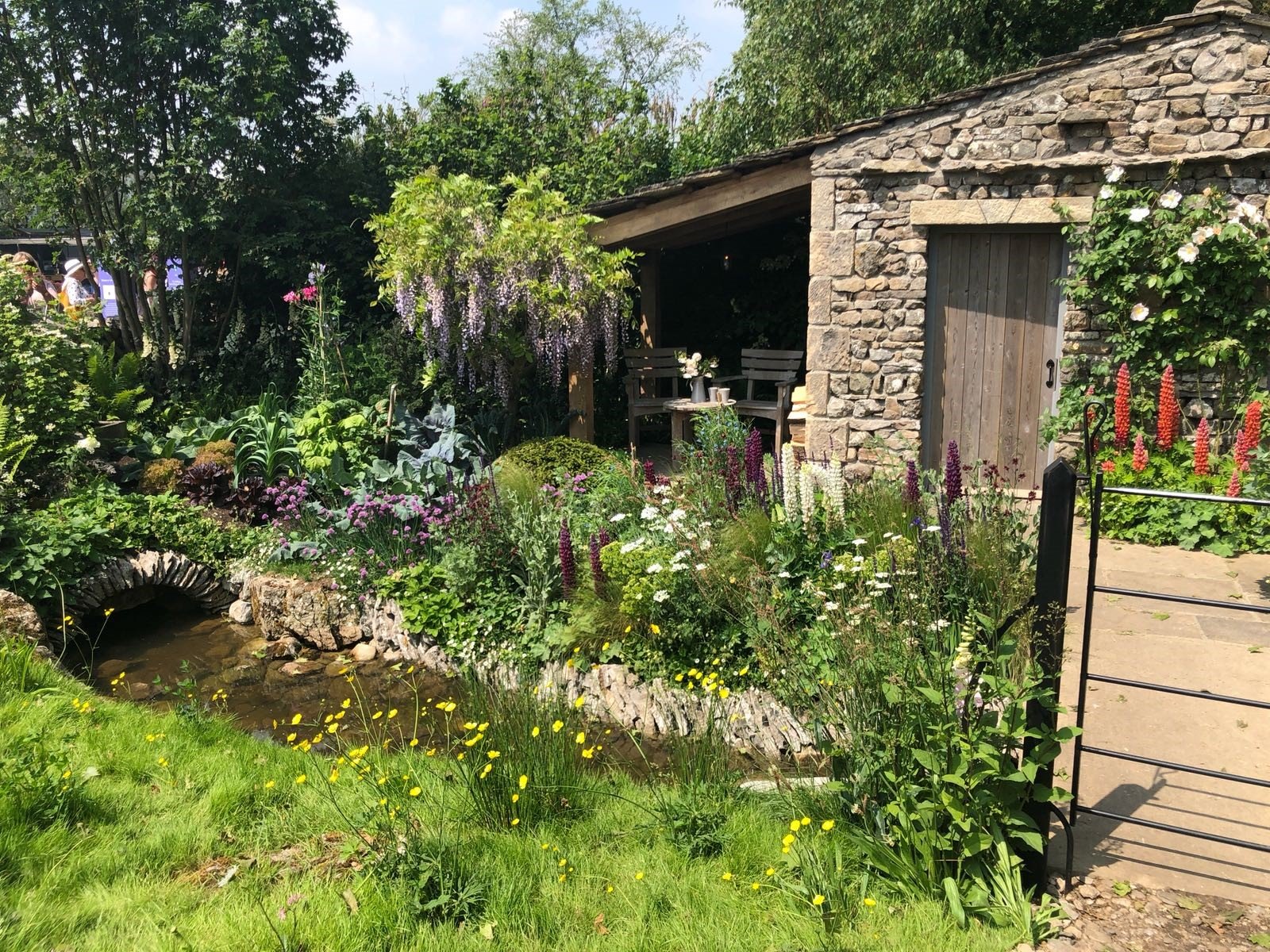 success at rhs chelsea flower show - lindum turf