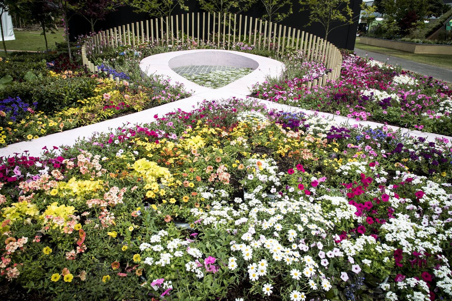 new zealand flower & garden show - the trusts arena