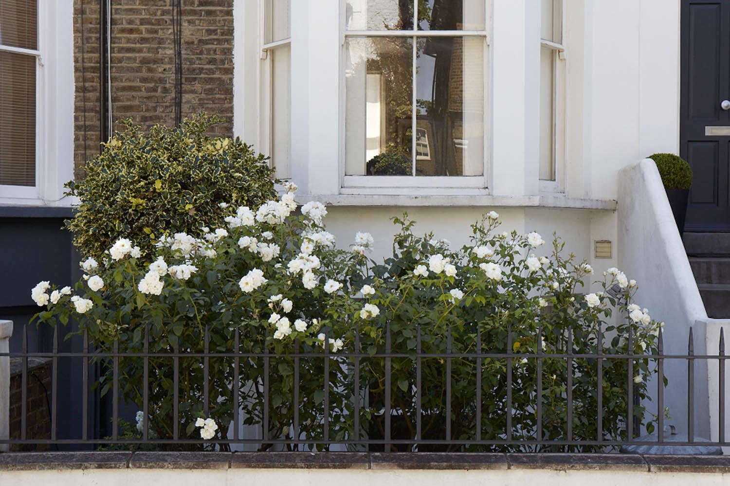 landscaping: 9 ideas for curb appeal in a city garden - gardenista