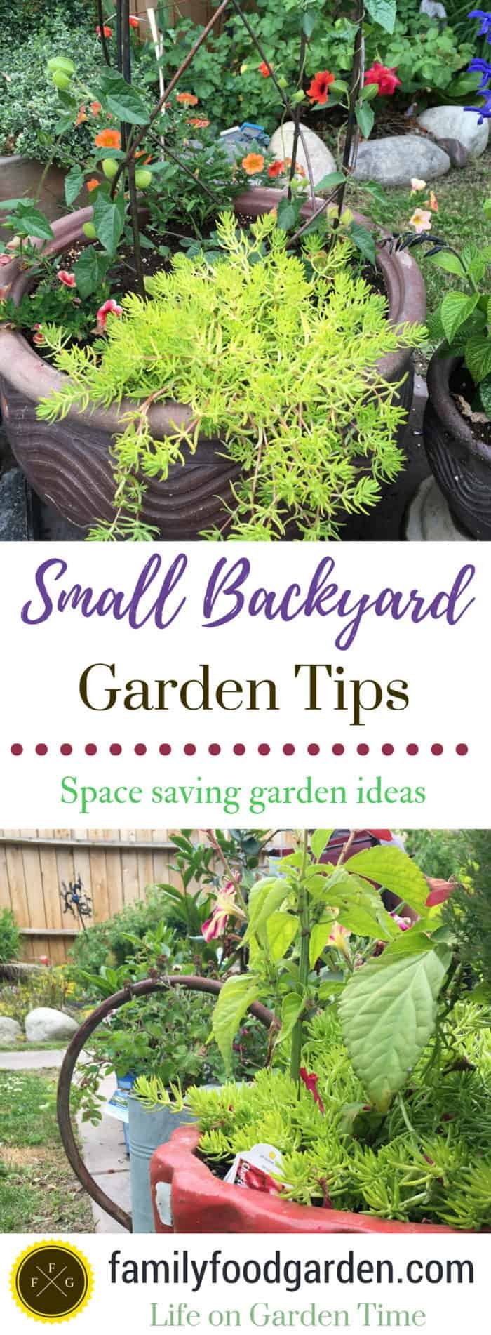 small backyard garden ideas & tips | family food garden