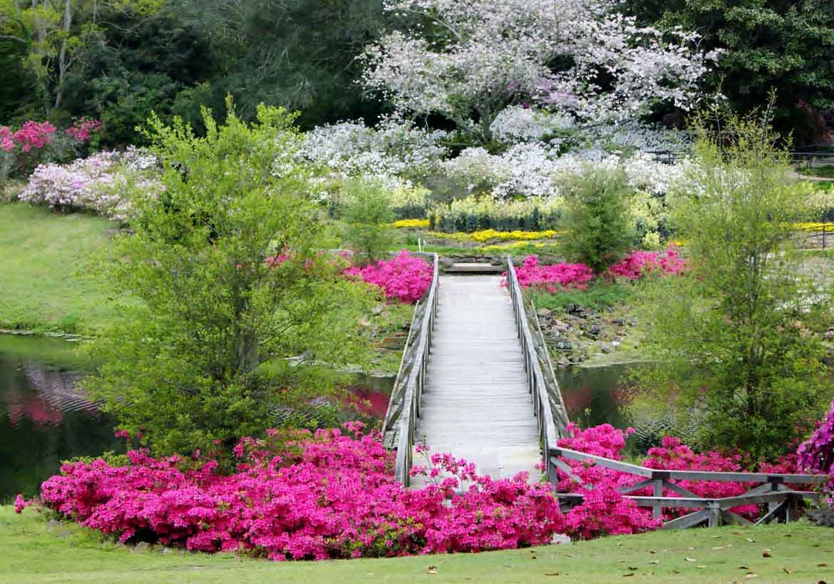 bellingrath gardens | garden destinations magazine