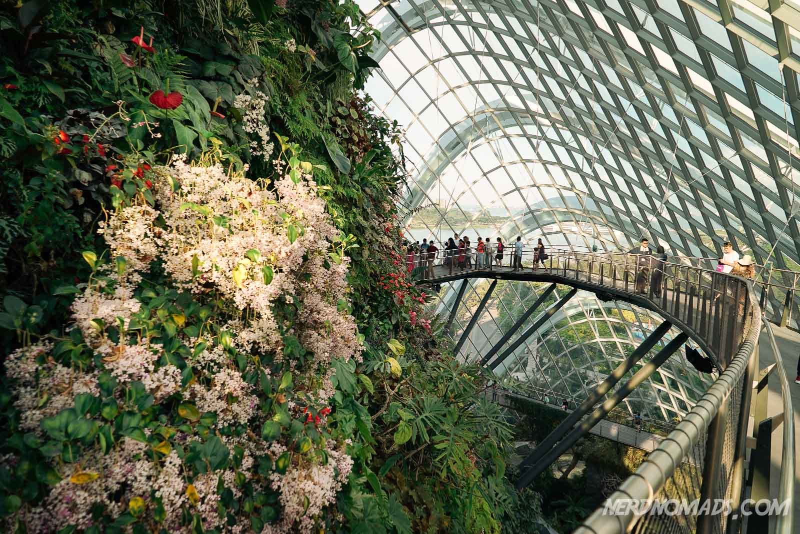 gardens by the bay - singapore - nerd nomads