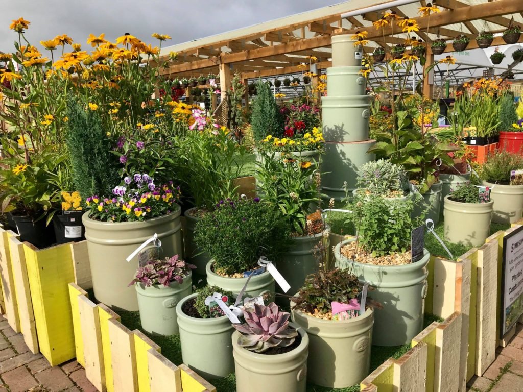 home | simpsons garden centre
