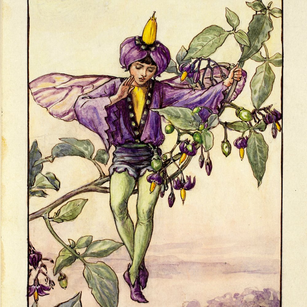 flower fairies at the garden museum | a little bird
