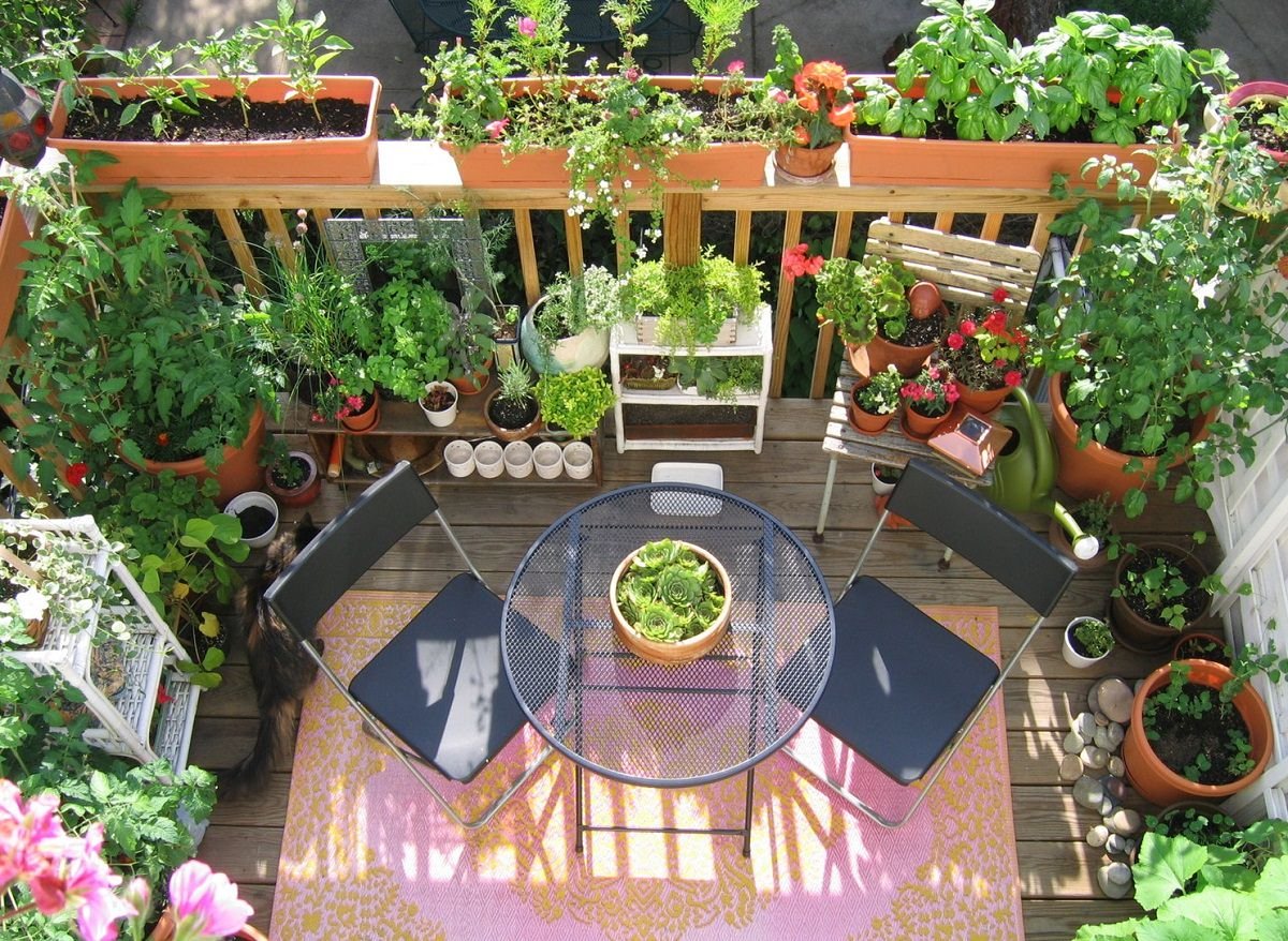 11 deck vegetable garden ideas to grow more in less space | balcony
