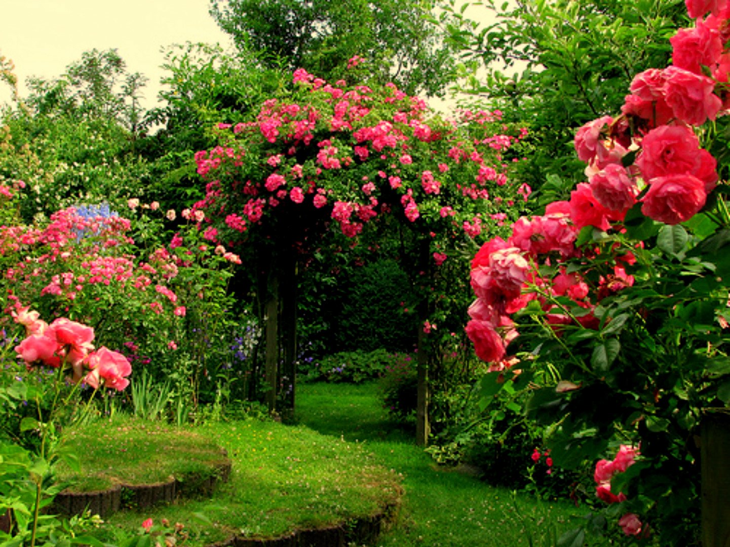 'the rose garden kit'