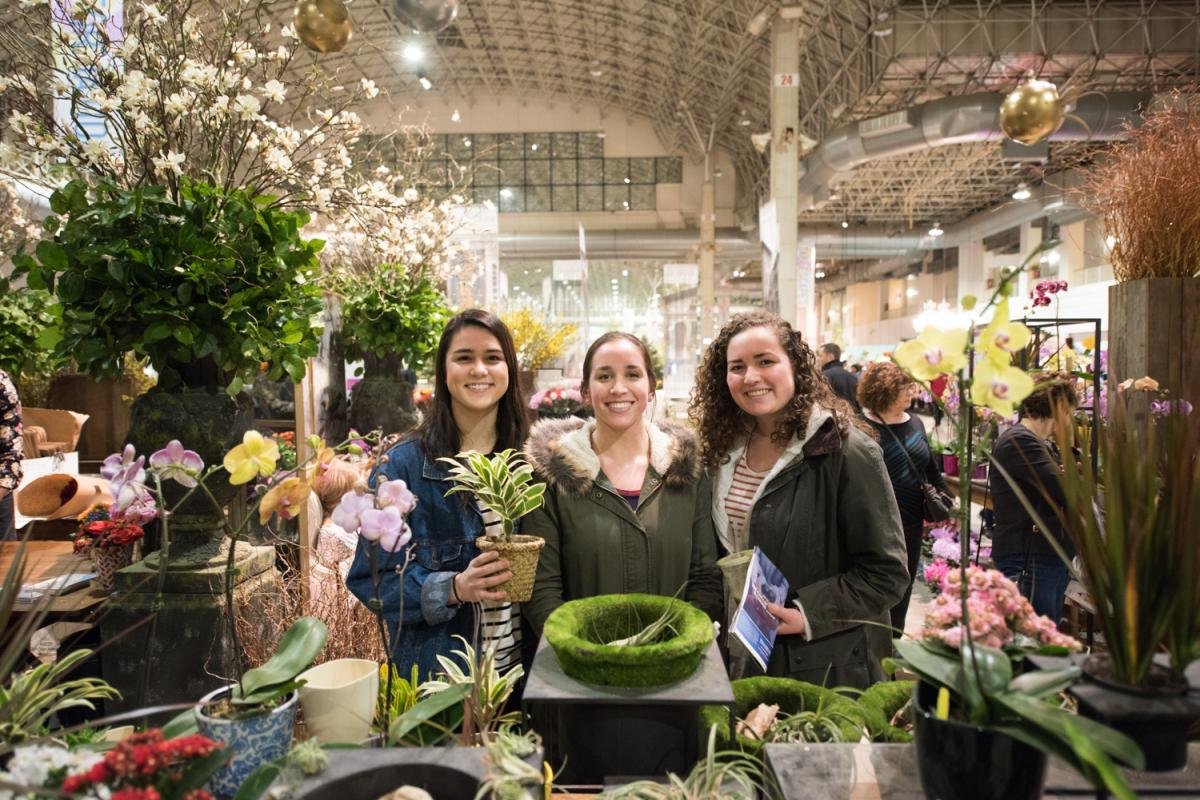chicago flower & garden show 2019: flowertales | navy pier