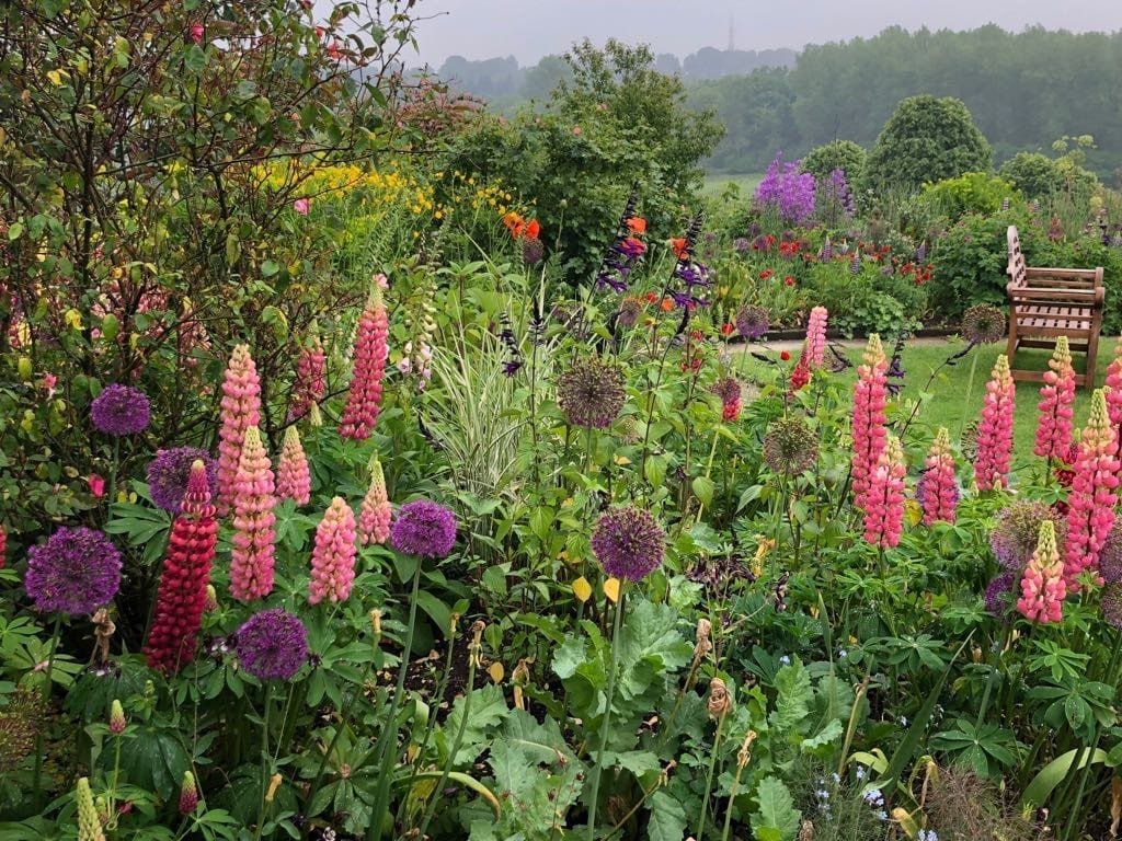 luxury garden tours - violets and tea - 2020 english garden tours