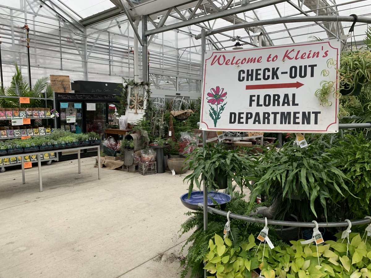 home | klein's floral