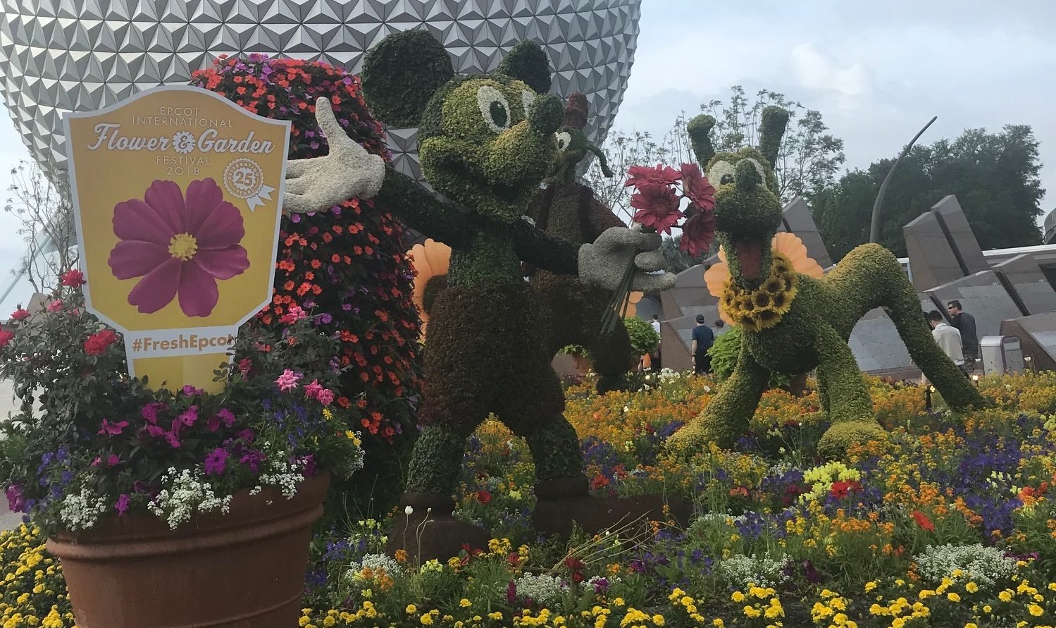 expanded concert lineup coming to epcot's flower & garden festival