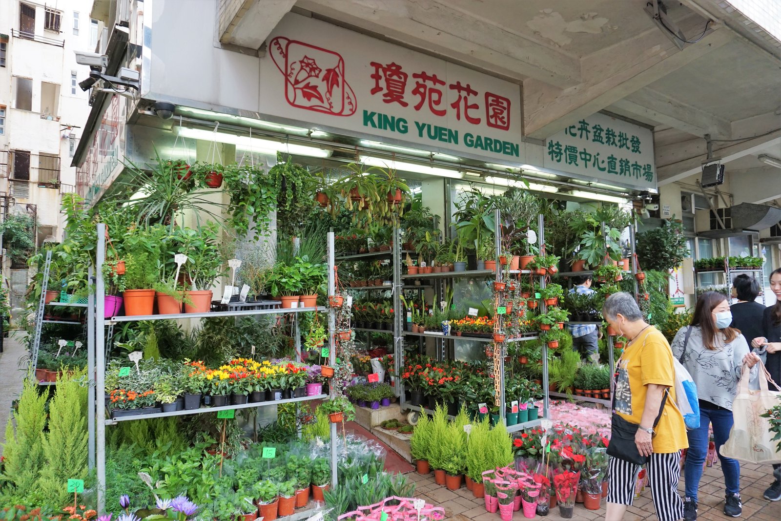 hong kong itinerary-four great days - empty nesters hit the road