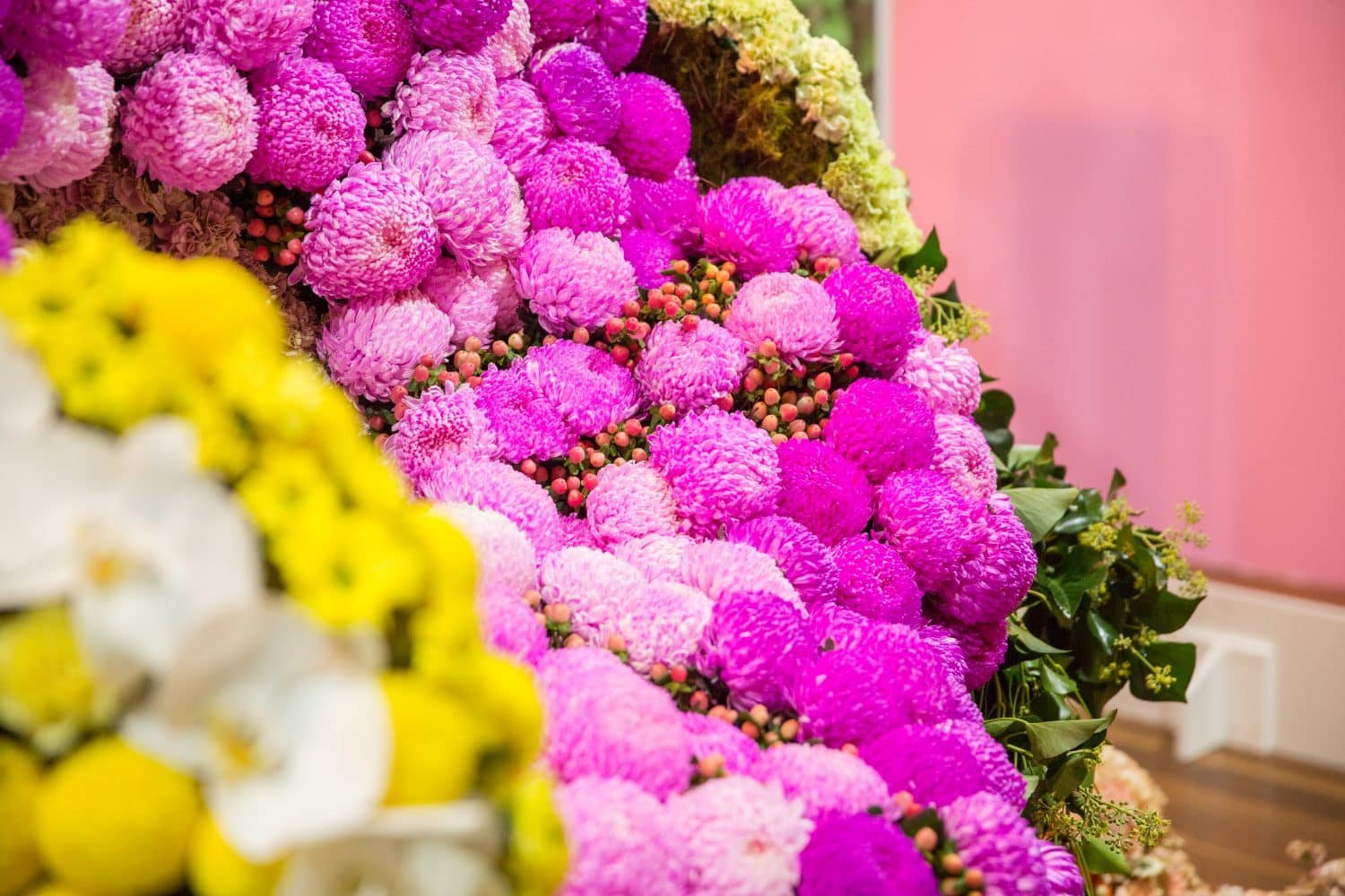 what to expect at the 2019 show - melbourne international flower