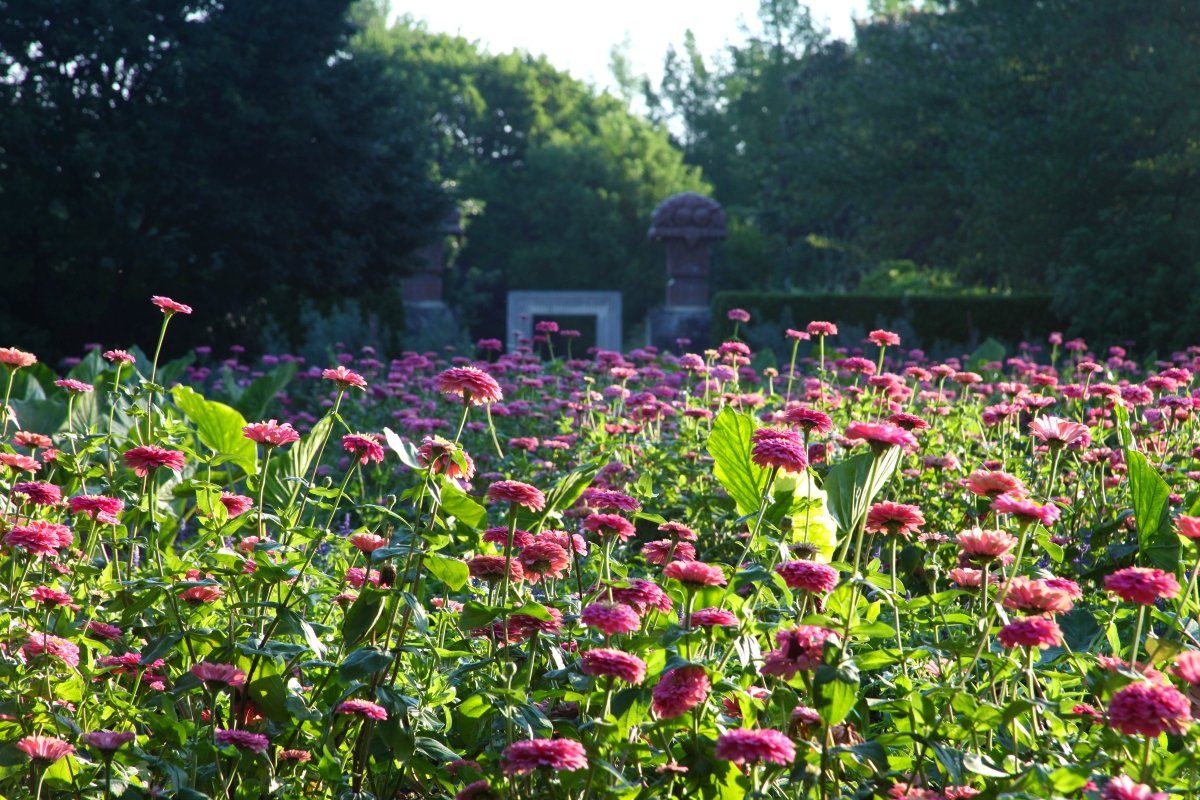 employment opportunities | dallas arboretum and botanical garden