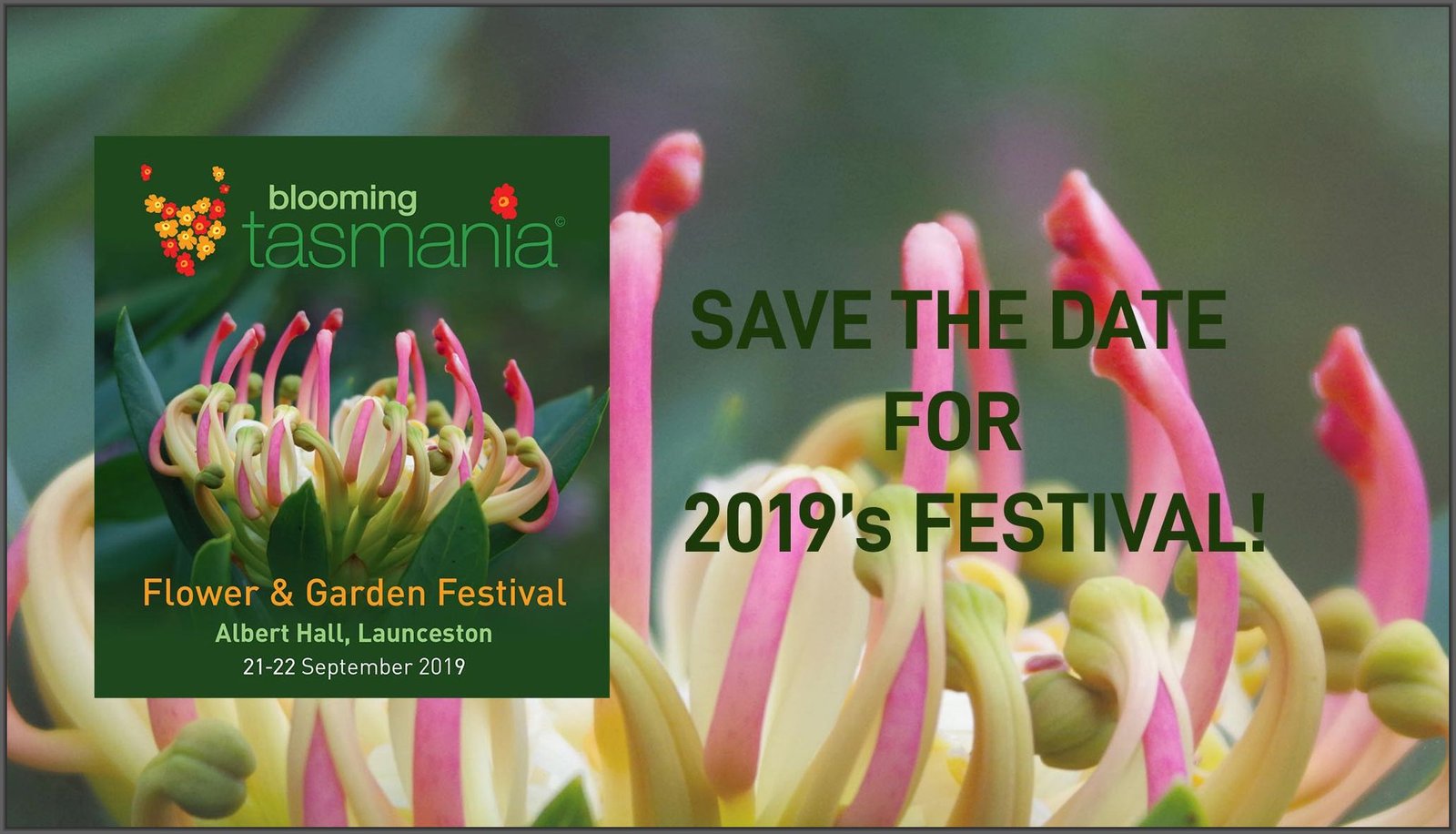 blooming tasmania brings you tasmania's unique garden attractions