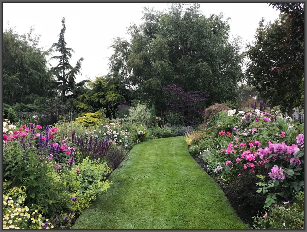 birch grove gardens for plants - beaconsfield (north) - blooming