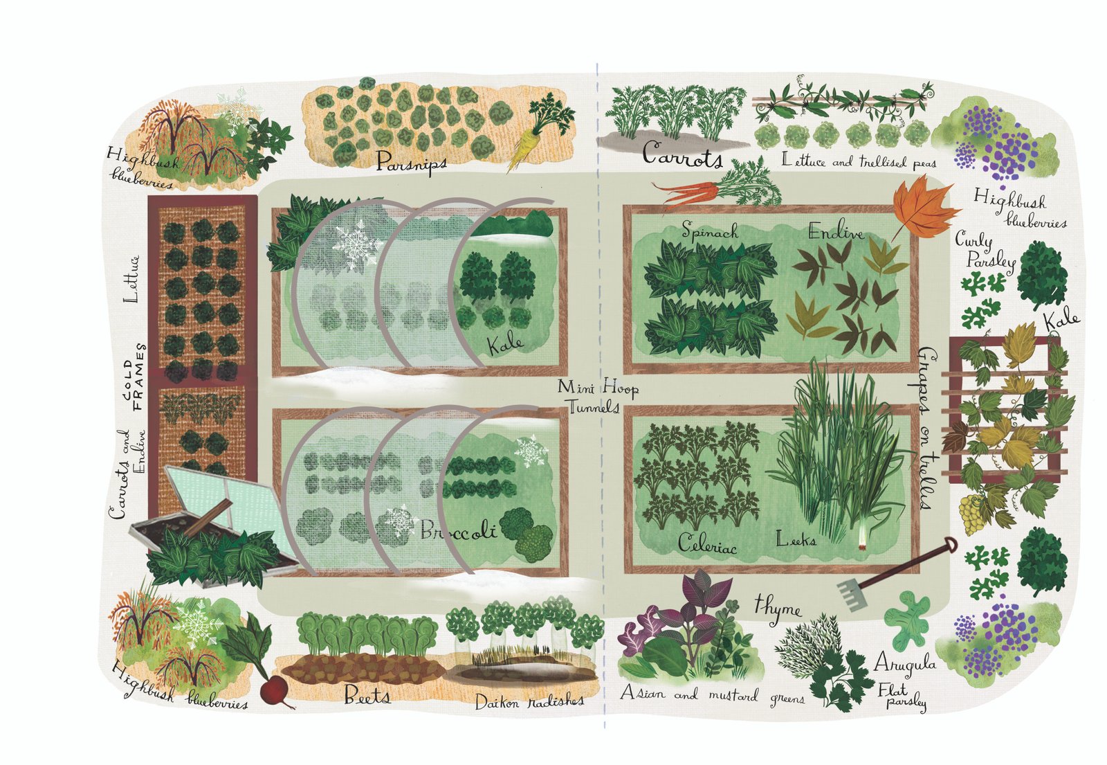 vegetable garden plans, designs + layout ideas | family food garden
