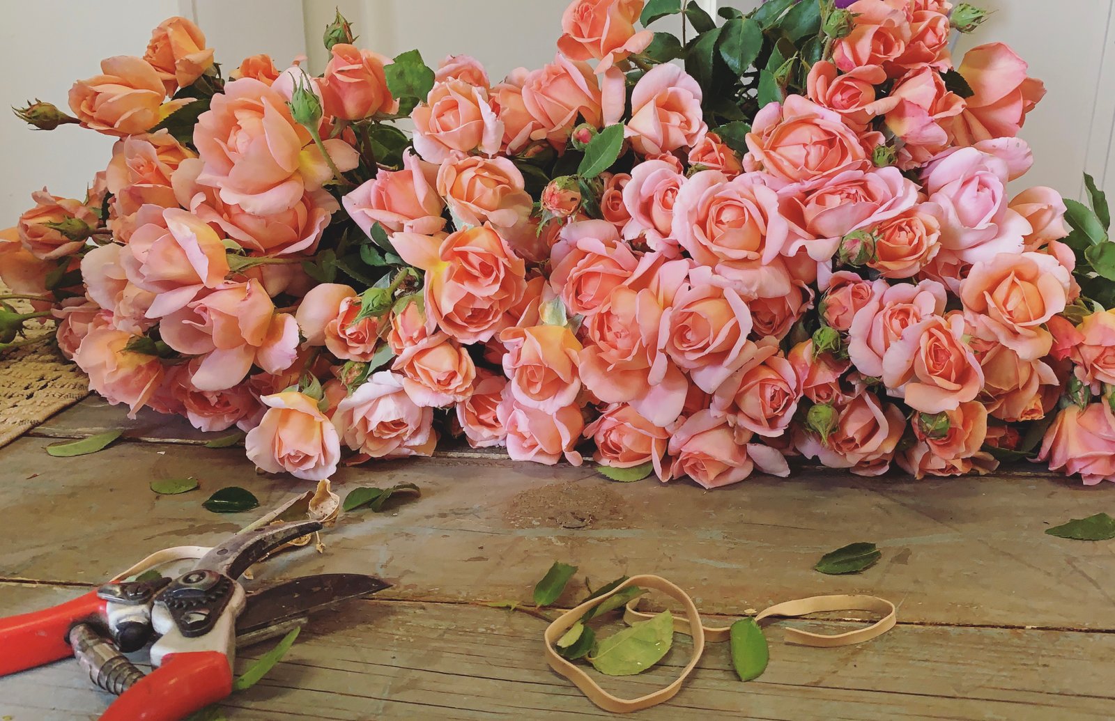 the {farmer} & the florist interview: grace rose farm - floret flowers