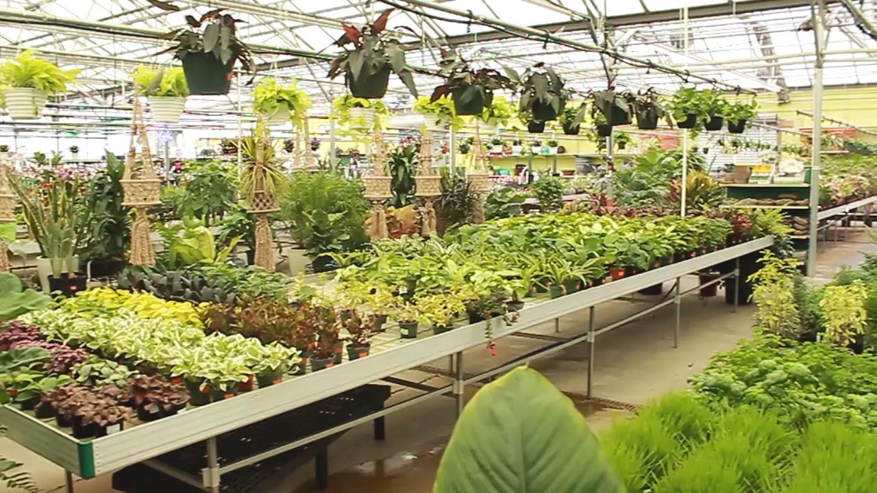garden center – alsip home & nursery