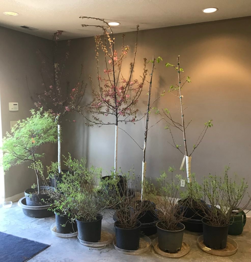 garden show 2019 | topeka landscape