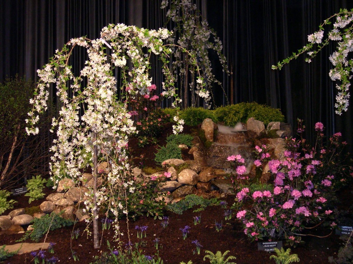 news – connecticut flower and garden show
