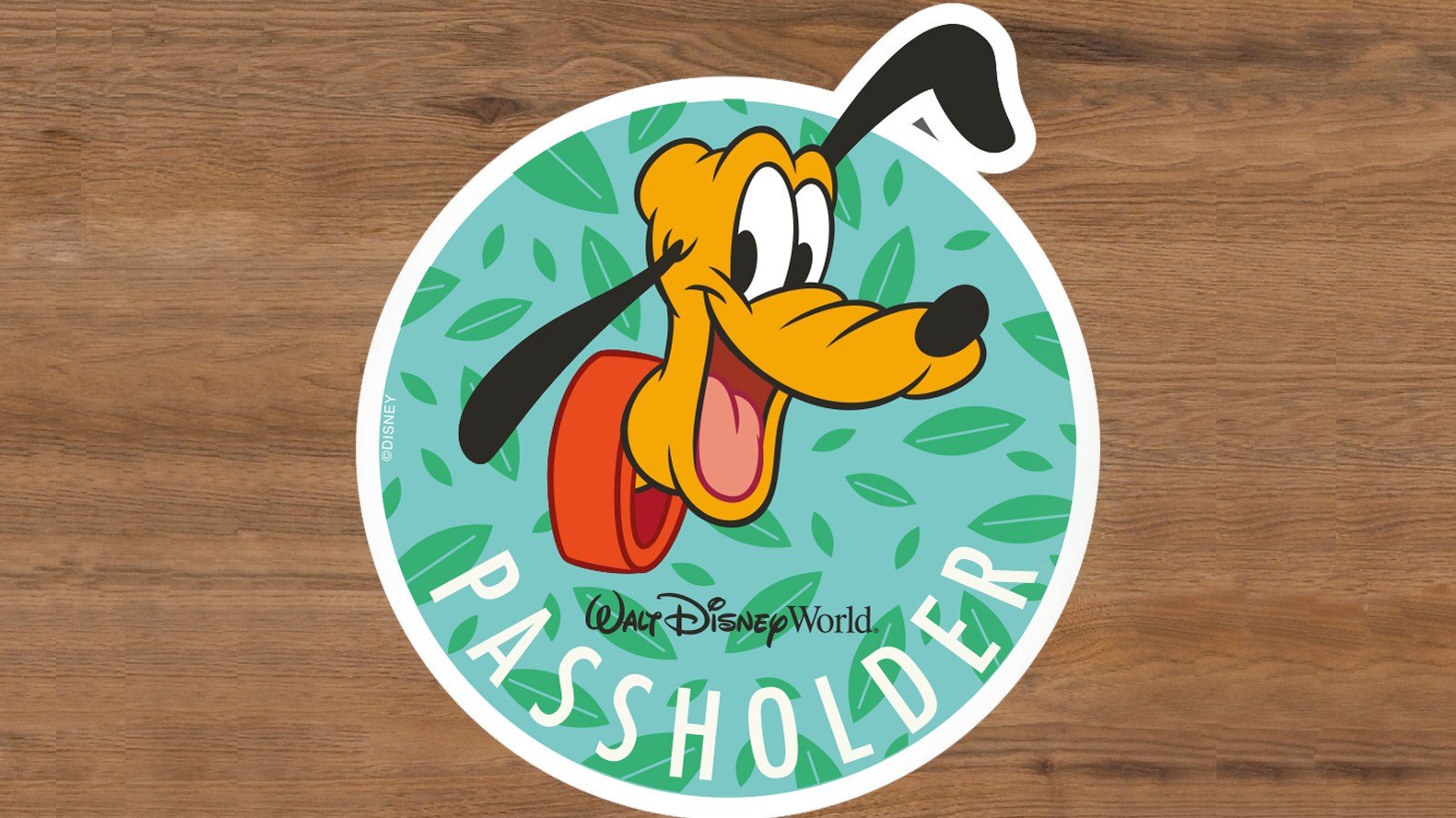 flower-and-garden-2019-ap-magnet-pluto - blog mickey