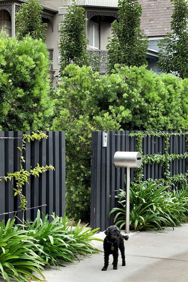 25 unique garden fence ideas with plants to your privacy | homemydesign