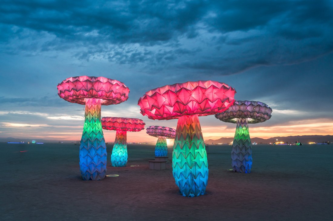 foldhaus is bringing kinetic flora to pacific place | indesignlive.hk