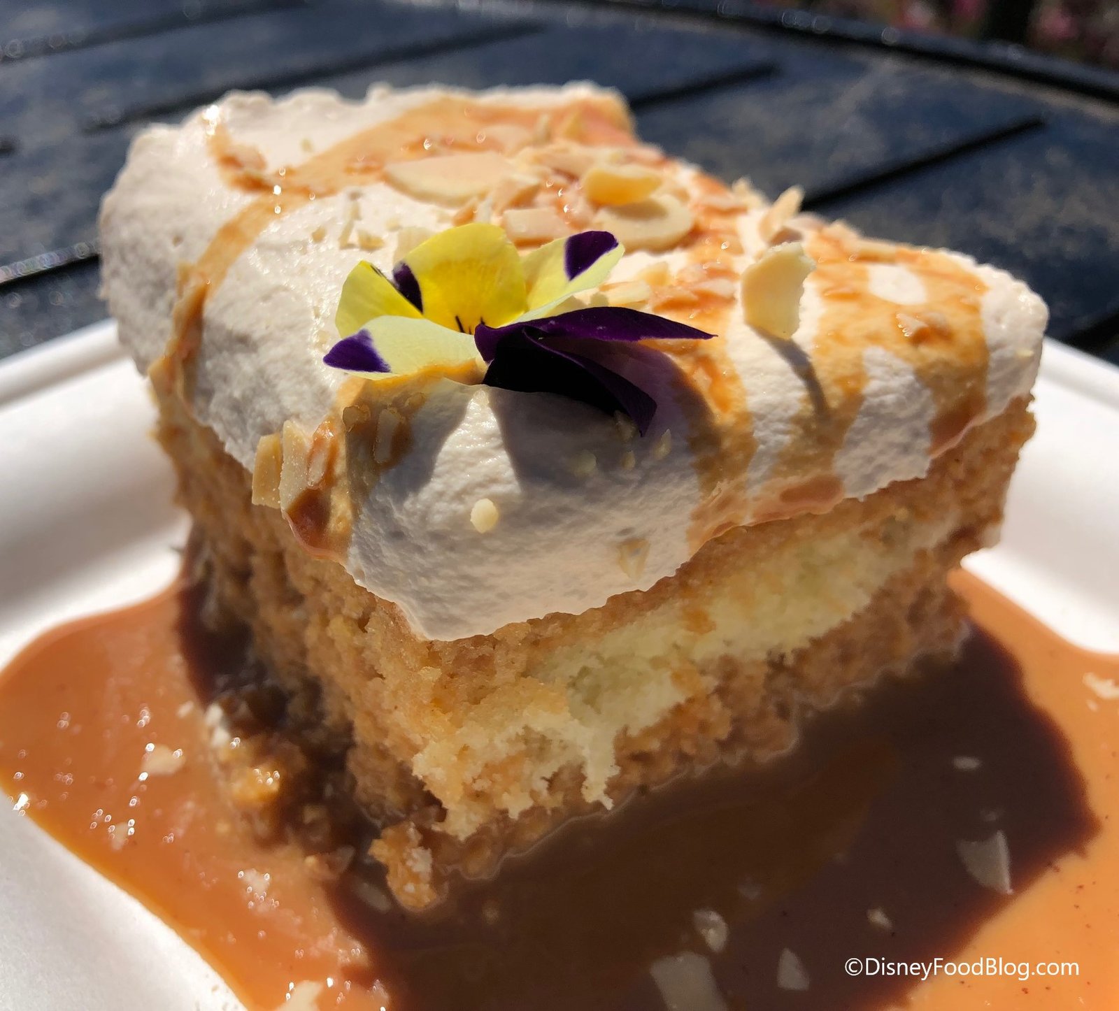 best of the fest! what to eat and drink at the 2019 epcot flower and