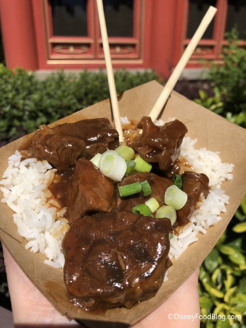 best of the fest! what to eat and drink at the 2019 epcot flower and