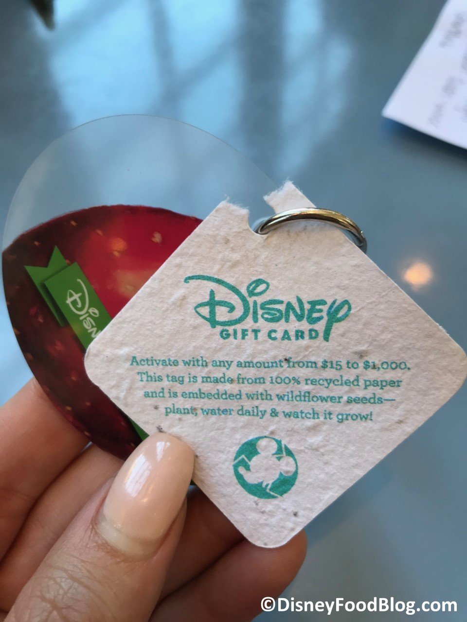 2019 epcot flower and garden festival merchandise