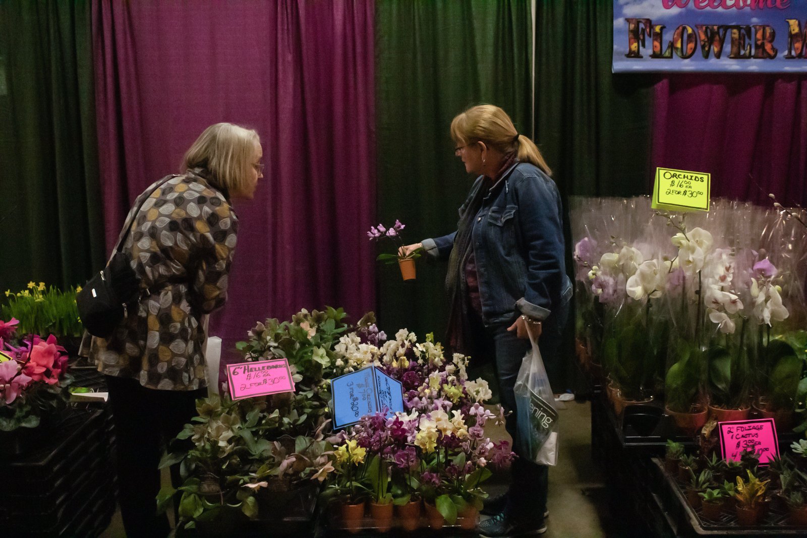 boston flower and garden show 2017 promo code - hd image flower and