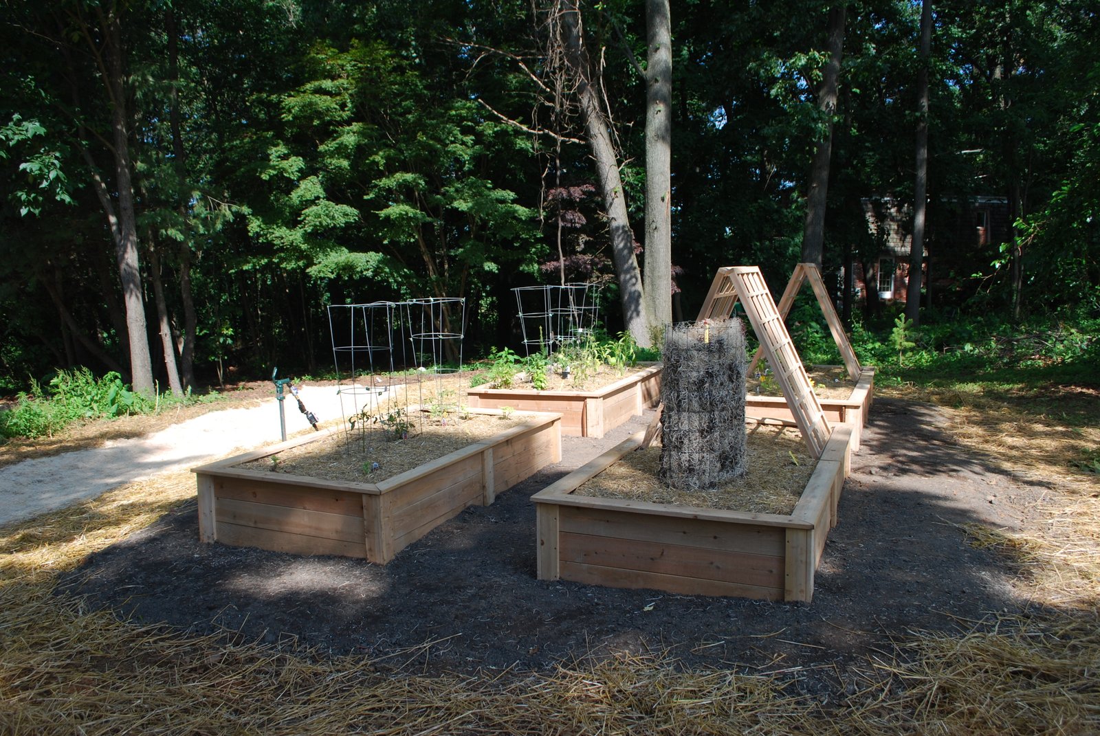 kitchen gardens - mullan nursery company | landscape designers