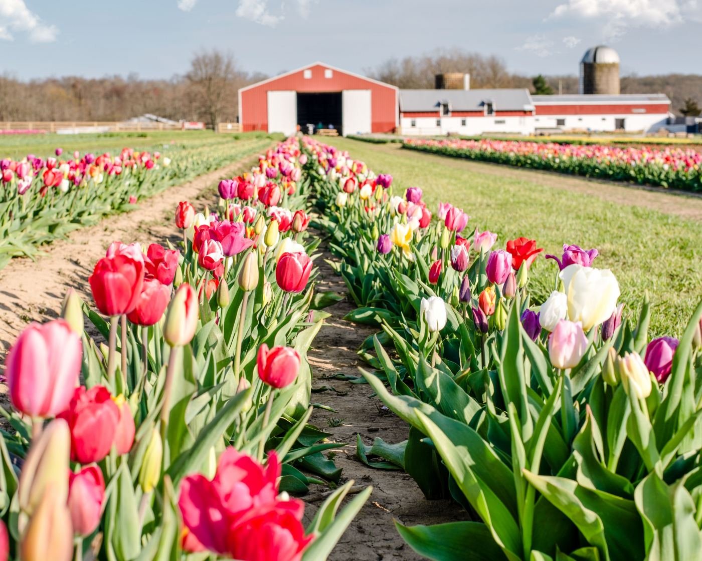 spring in nj: visit these seven places to see the garden state in
