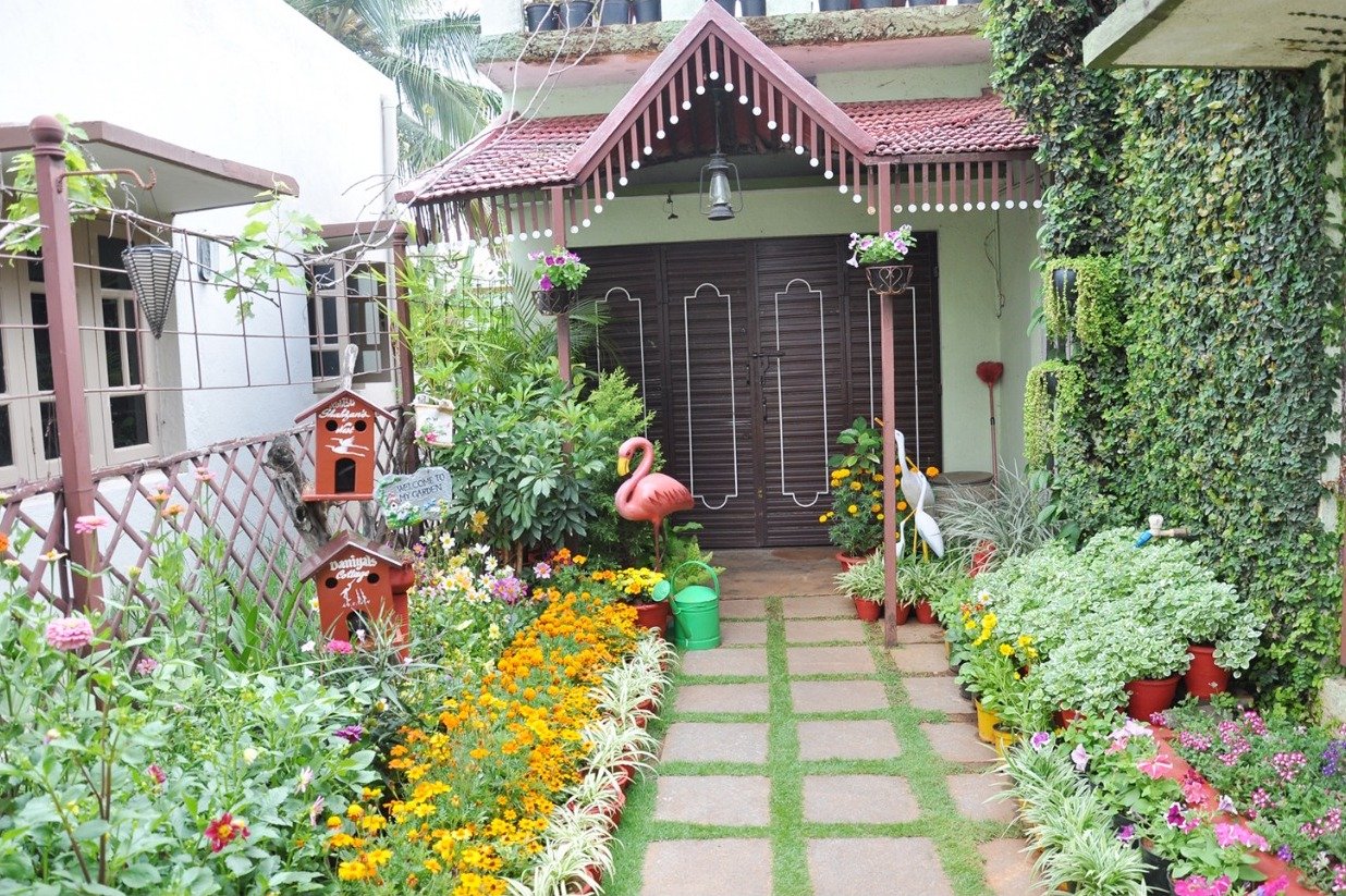 bottles to old shoes: mysuru woman's flower garden gets her 11