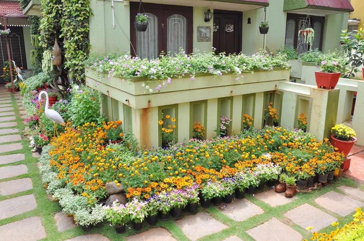 bottles to old shoes: mysuru woman's flower garden gets her 11