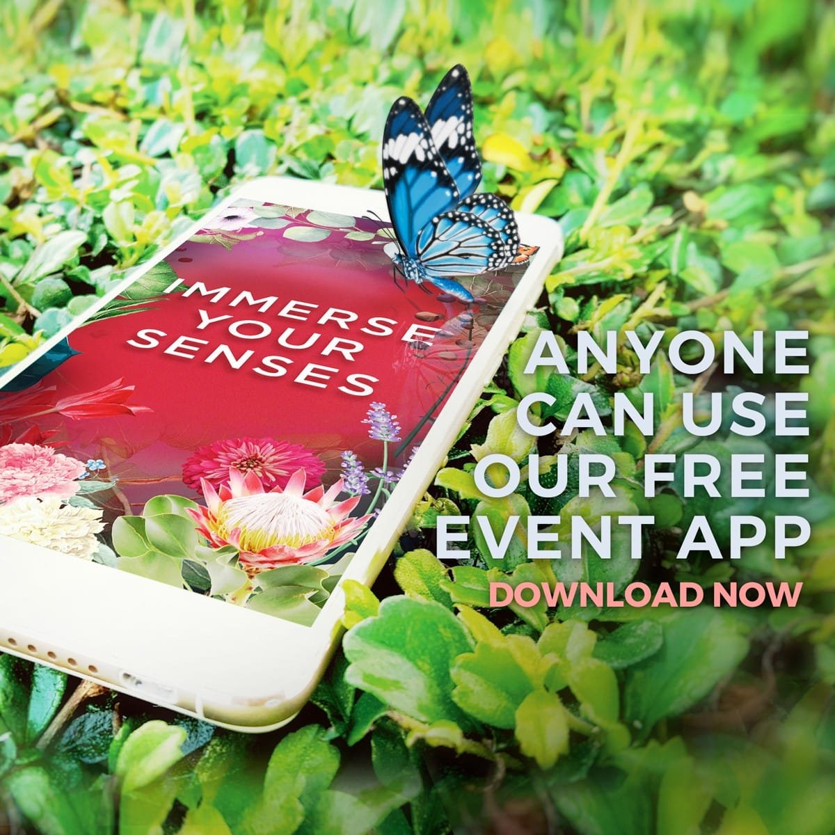 download the show app - melbourne international flower & garden show