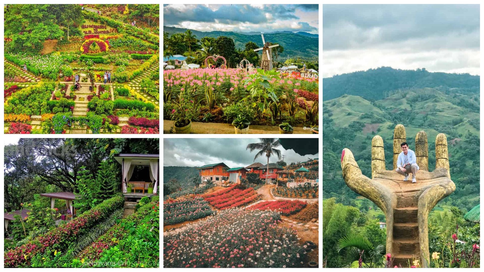 top 5 flower gardens in cebu | sugbo.ph - cebu