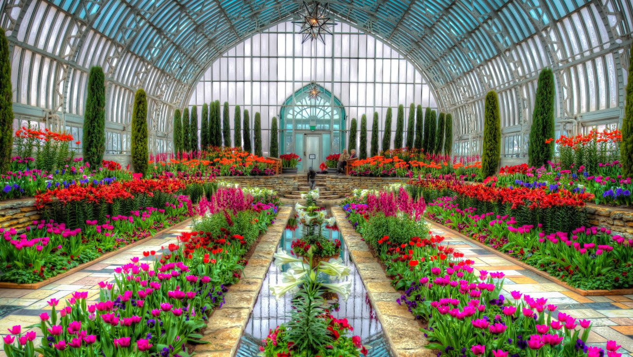 catch a glimpse of spring at como conservatory's spring flower show