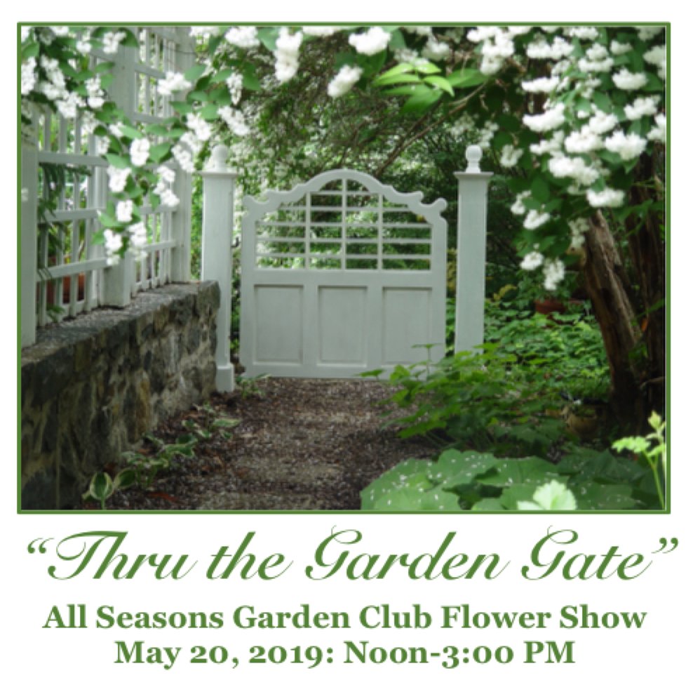 town of chestertown 2019 all seasons garden club flower show