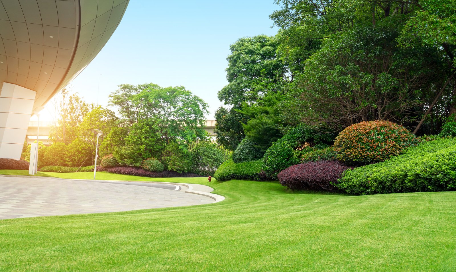 commercial landscaping | frank's lawn & tree service
