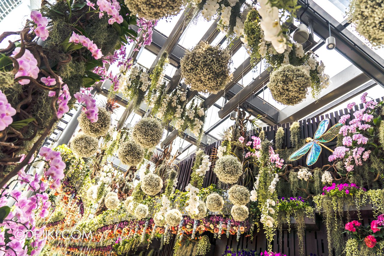 floral fantasy at gardens by the bay | dejiki