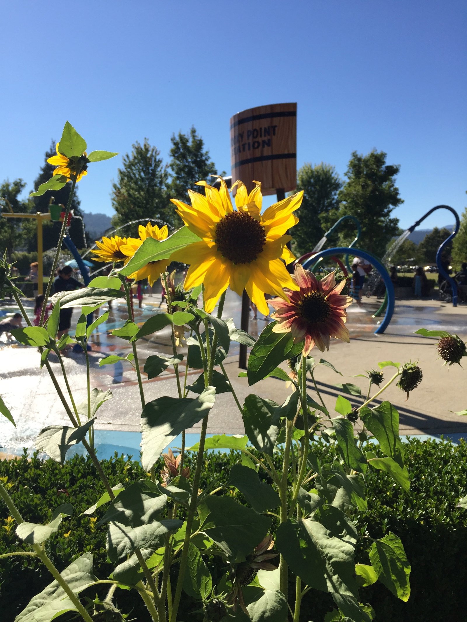 our life in port moody | anya wyers author