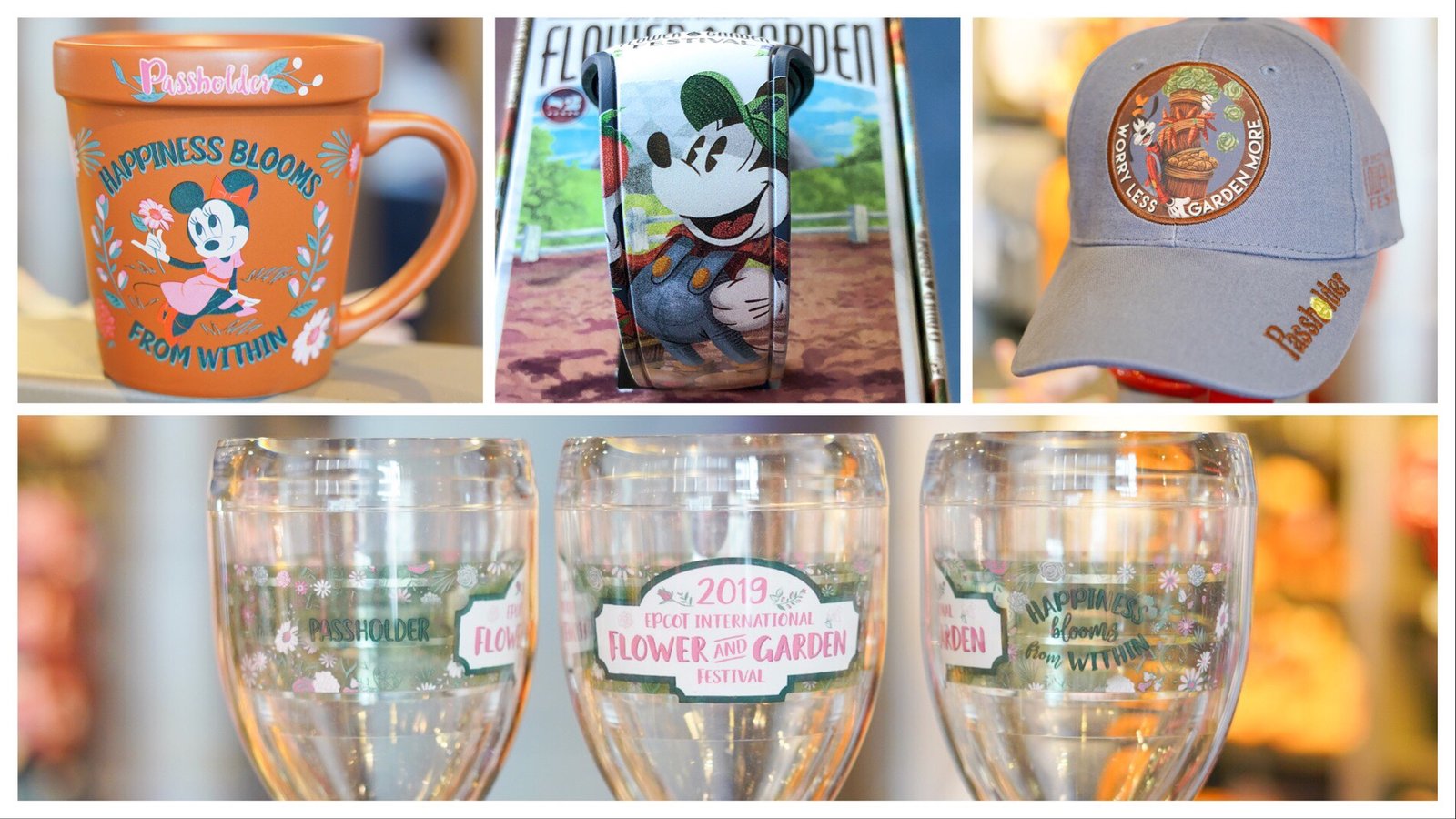photos: new limited edition magicband, annual passholder epcot