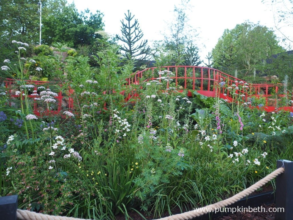 rhs chelsea flower show 2019 (part two) - pumpkin beth