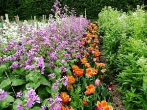 Inspiration: Sarah Raven's Cutting Garden Flowers In Rows regarding Garden Flowers Good For Cutting