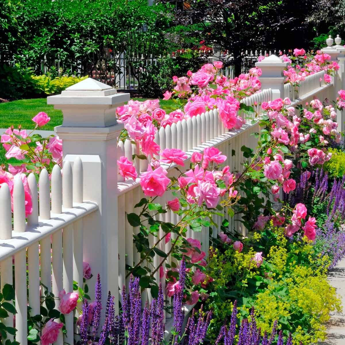 flower bed ideas for the front of your house | family handyman