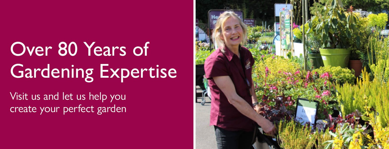 squires garden centres - family-owned garden centres