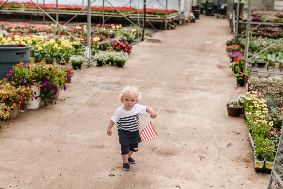 how to start a garden at robins flower garden - abigail albers