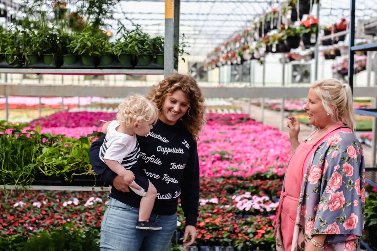 how to start a garden at robins flower garden - abigail albers